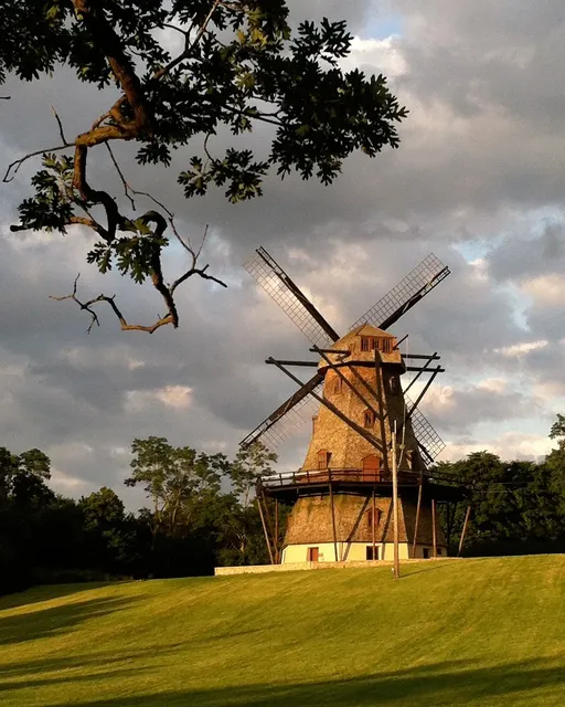 Picture